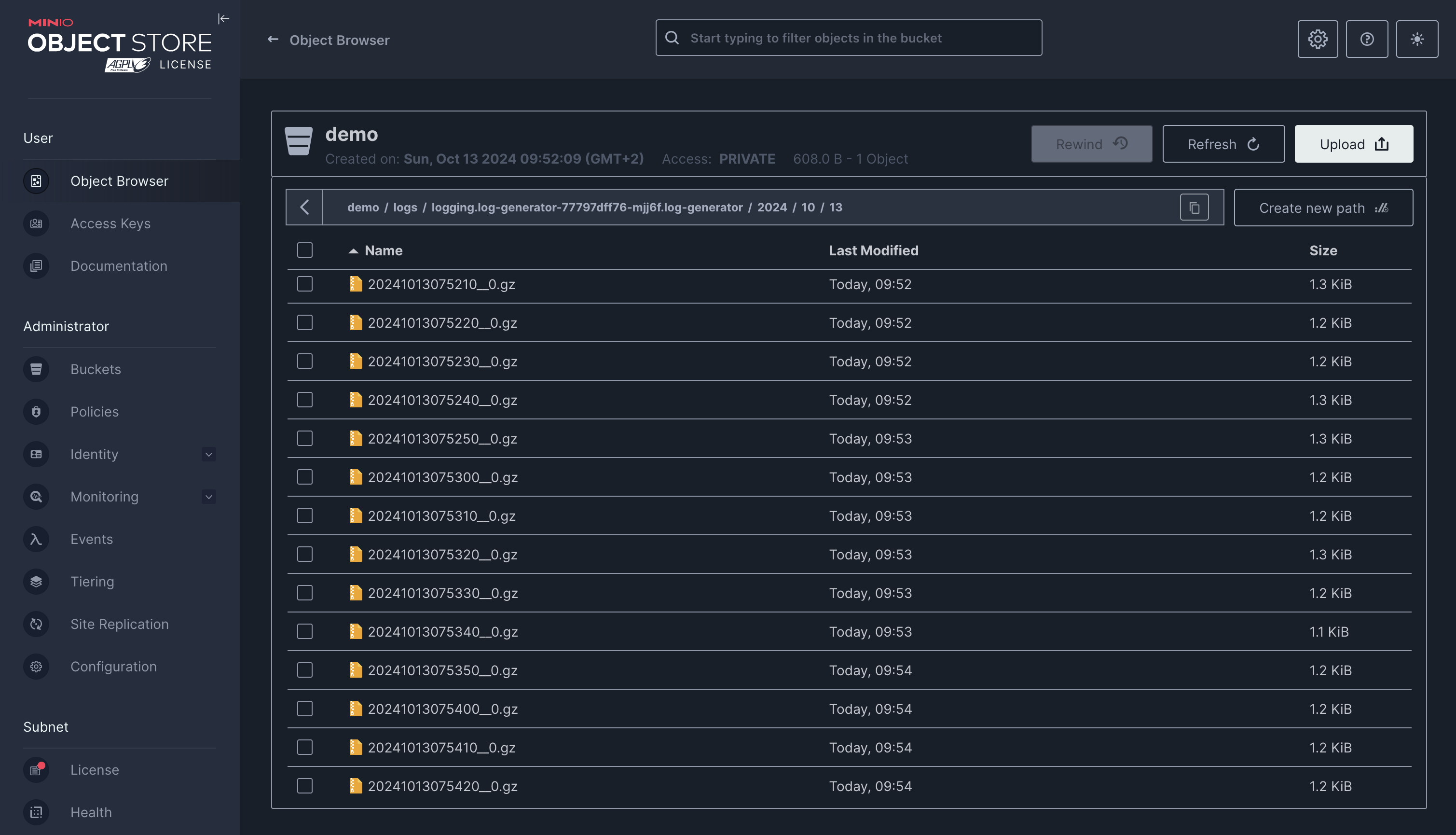 Minio dashboard